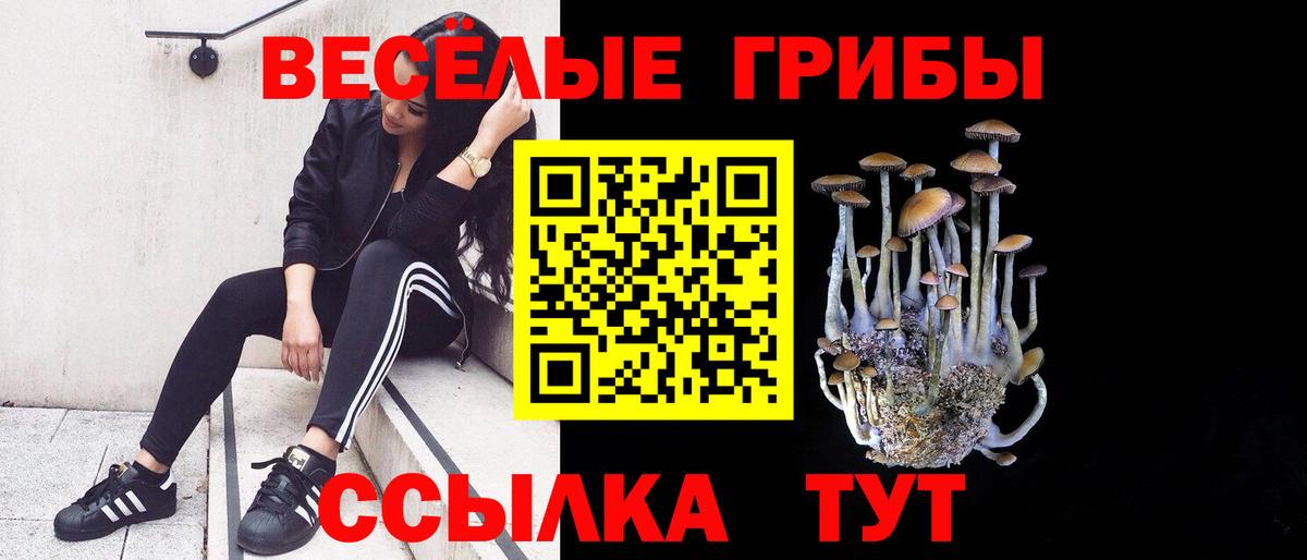 Псилоцибиновые грибы Psilocybe  Галлюциногенные грибы GOLDEN TEACHER  Унеча  Вход с VPN 